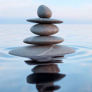 Equilibrio del Sistema Urogenitale