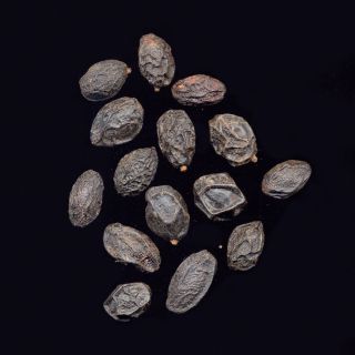 Estratto di Saw Palmetto (Serenoa)